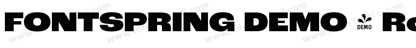 FONTSPRING DEMO - Roc Grotesk Black字体转换